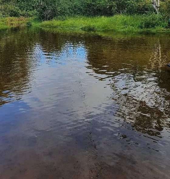 Polícia investiga denúncia de despejo irregular de água não tratada pelo SAAE no Riacho do Tintor, com possível poluição do recurso hídrico.